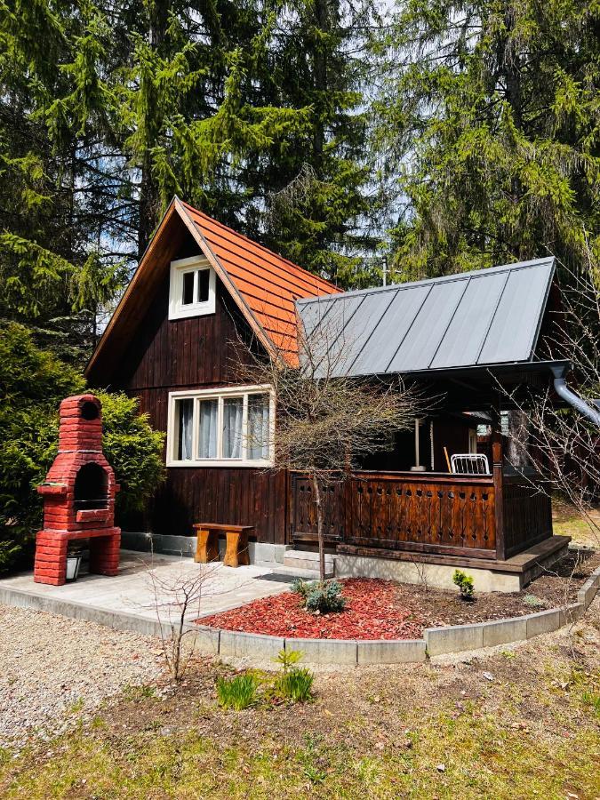 Cabana Adrienne Izvoru Mureşului Exterior foto